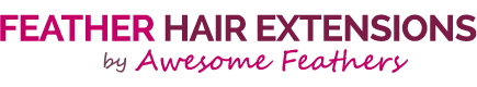 Awesome Feathers – Feather Hair Extensions – Feather Extensions