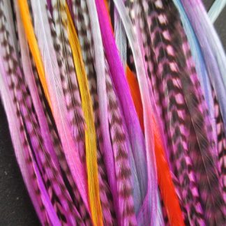 feather hair accessories